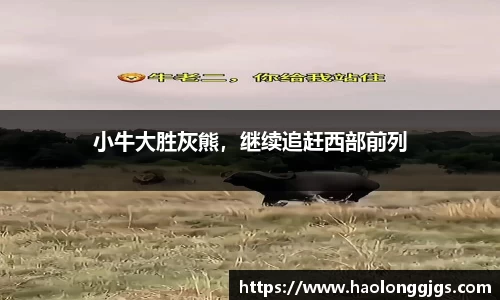 小牛大胜灰熊，继续追赶西部前列